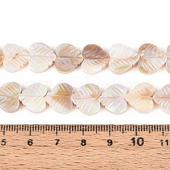 Electroplated Natural Freshwater Shell Carved Beads Strands&nbsp;SHEL-T020-14