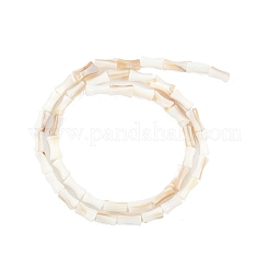 天然淡水シェルビーズ連売り  染め  竹の棒の形  ペルー  8x4.5mm  穴：0.8mm  約46個/連  14.49インチ（36.8cm）&nbsp;SHEL-G013-01H