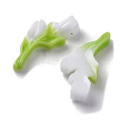 Luminous & Two Tone Resin Decoden Cabochons&nbsp;RESI-Z032-02D