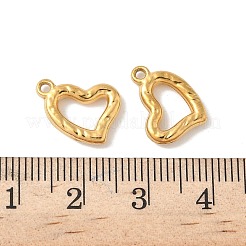 304 Stainless Steel Charms&nbsp;STAS-F320-06G