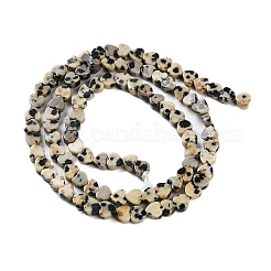 Natural Dalmatian Jasper Beads Strands&nbsp;G-M403-A31-01