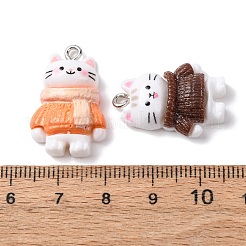 不透明樹脂ペンダント  猫  プラチナ鉄ループ付き  ミックスカラー  21~27.5x15.5~22.5x6.5~8.5mm  穴：2mm&nbsp;RESI-K051-01