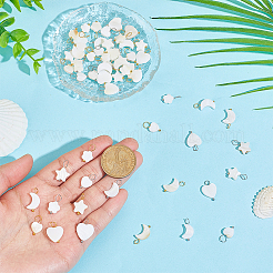 60Pcs 10 Styles Natural Freshwater Shell Pendants&nbsp;PALLOY-HY00106