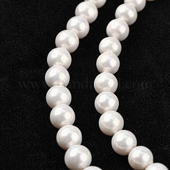 Shell Bead Strands&nbsp;BSHE-R146-6mm-02