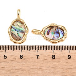 真鍮製の天然パウア貝の不規則なペンダント  18KGP本金メッキ  楕円形のチャーム  21x15x5mm  穴：3x5mm&nbsp;KK-I453-01G-02