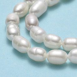 天然養殖淡水パールビーズ連売り  ライス  リネン  6.5~8x4~5mm  穴：0.6mm  約54~56個/連  14.17''（36センチメートル）&nbsp;PEAR-J006-13B-01