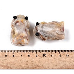 天然クレイジーアゲートモンスターの置物  ホームオフィスのデスクトップ装飾用  39~41x24~25.5x24~25mm&nbsp;DJEW-N003-01H