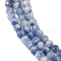 Natural Blue Spot Jasper Beads Strands&nbsp;G-A252-A02-02