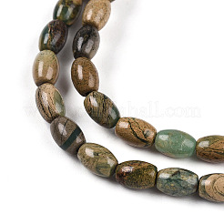 Natural Verdite Stone Beads Strands&nbsp;G-N346-02A-06