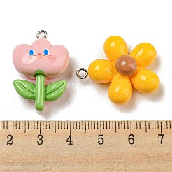 不透明樹脂ペンダント  花と虹と王冠  プラチナメッキ鉄ループ付き  混合図形  ミックスカラー  26~32x19~28.5x7~12mm  穴：2mm&nbsp;RESI-E054-04P