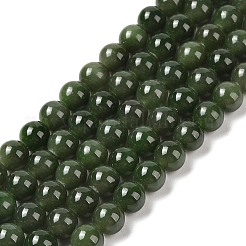 Natural Canada Jade Beads Strands&nbsp;G-NH0001-G01-02