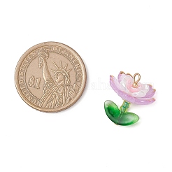 透明なアクリルパーツ  ガラスシードビーズで  花  ゴールドライン入り  ミックスカラー  20.5x18x18.5mm  穴：1.8mm  5個/セット&nbsp;PALLOY-MZ00823