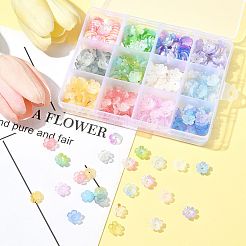 480 個 12 色のアクリルビーズキャップ  5  - 花びらの花  金色の箔付き  ミックスカラー  11x11x4mm  穴：1.6mm  40個/カラー&nbsp;OACR-FS0002-24