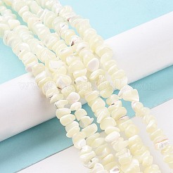 天然石シーシェルビーズ連売り  漂白  チップ  ホワイト  5~16x5~16x4.5~1~8mm  穴：0.5~0.7mm  約97~124個/連  15.35インチ〜15.94インチ（39cm〜40.5cm）&nbsp;SSHEL-S278-132