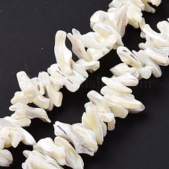 天然trochidシェルビーズ連売り  チップ  ホワイト  2~11x22~25x5~8mm  穴：0.8mm  約93~148個/連  14.57~15.94インチ（37~40.5cm）&nbsp;X-SSHEL-G023-05B