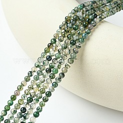 Natural Moss Agate Bead Strands&nbsp;G-K146-07-3mm