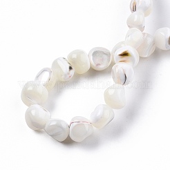 Natural Trochid Shell/Trochus Shell Beads Strands&nbsp;SSHEL-N032-48-B01