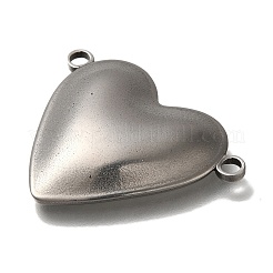 304 Stainless Steel Connector Charms&nbsp;STAS-H223-02AS