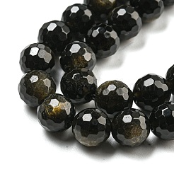 Natural Golden Sheen Obsidian Beads Strands&nbsp;G-E571-A01-02