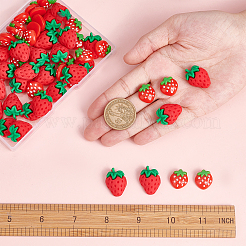 60Pcs 2 Style Resin Cabochons&nbsp;CRES-SC0002-36