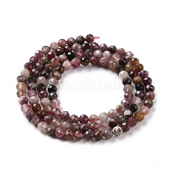 Natural Tourmaline Beads Strands&nbsp;G-P488-01A
