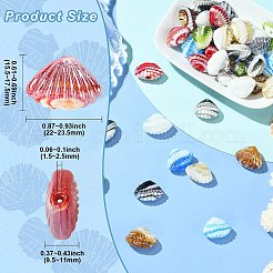 40個8色手作りランプワークビーズ  シェル形状  パールカラーの  ミックスカラー  15.5~17.5x22~23.5x9.5~11mm  穴：1.5~2.5mm  5個/カラー&nbsp;LAMP-CJ0002-76