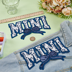 Polyester Iron on/Sew On Patches&nbsp;DIY-WH0593-02B