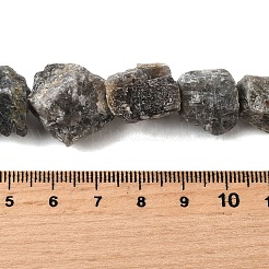Natural Labradorite Beads Strands&nbsp;G-S386-C07