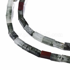 Natural African Bloodstone  Beads Strands&nbsp;G-S299-134