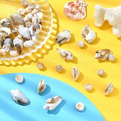 218PCSアクリルビーズ  天然石風  イモガイ  貝殻色  10.5~30x9.5~21.5x5.5~14mm  穴：1.6~1.8mm&nbsp;OACR-YW0002-17