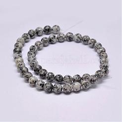 Natural Sesame Jasper/Kiwi Jasper Beads Strands&nbsp;G-F351-10mm