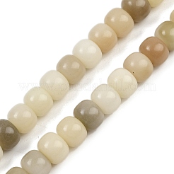Natural Bodhi Root Beads Strand&nbsp;WOOD-B010-A01-10x8mm