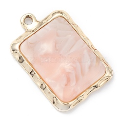 Resin Pendants&nbsp;LS-FIND-XCP0001-04