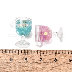 Transparent Resin Pendants&nbsp;RE-B004-01