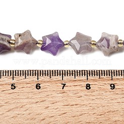 天然石アメジストビーズ連売り  チャンキースター  シードビーズで  9~9.5x10x6mm  穴：0.8mm  約35~36個/連  14.76''~15.24''（37.5~38.7センチメートル）&nbsp;G-Z080-A34-10mm