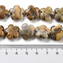 Natural Crazy Agate Beads Strands&nbsp;G-F769-M01-01