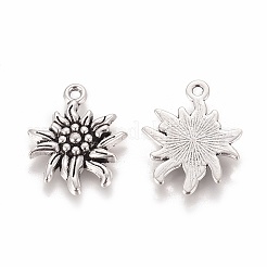 Tibetan Style Alloy Pendants&nbsp;LS-TIBEP-A113357-AS-LF