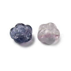 Natural Mixed Gemstone Beads&nbsp;G-L636-C-01