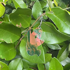 Iron & Acrylic Dangle Earrings for Women&nbsp;WG91C07-01