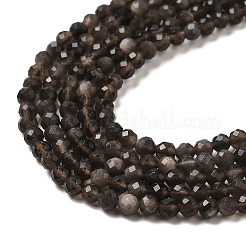 Natural Silver Sheen Obsidian Beads Strands&nbsp;G-E608-A02-B