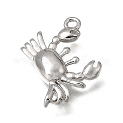 Brass Charms&nbsp;KK-K427-49P