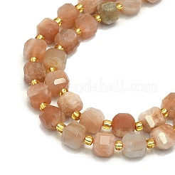 Natural Sunstone Beads Strands&nbsp;G-I376-D65-01
