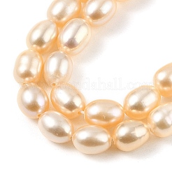 天然養殖淡水パールビーズ連売り  ライス  グレード6a+  桃パフ  5~5.5mm  穴：0.5mm  約50~51個/連  14.37''~14.57''（36.5~37センチメートル）&nbsp;PEAR-I007-01A-03B