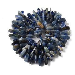 Natural Kyanite Beads Strands&nbsp;G-J403-01