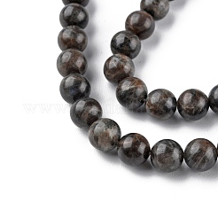 Natural Labradorite Beads Strands&nbsp;G-G0003-C03-10mm