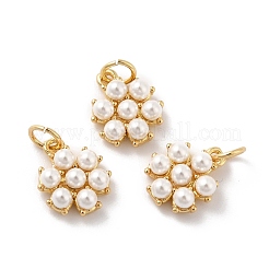 ラックメッキ真鍮チャーム  パール付き  カドミウムフリー＆鉛フリー  花  18KGP本金メッキ  12.5x10.5x4mm  穴：3.6mm&nbsp;KK-A160-23G