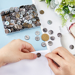 250Pcs 2-Hole Flat Round Shell Buttons&nbsp;SHEL-HS0001-02