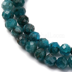 Natural Apatite Beads Strands&nbsp;G-A276-C08-4mm-02