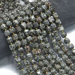 Natural Fluorescent Syenite Rock Beads Strands&nbsp;G-K389-A39-01