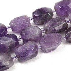 Natural Amethyst Beads Strands&nbsp;G-Z147-E02-01
